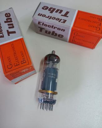 Valvole Amplificatore  EL504