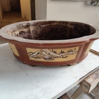 Vaso per bonsai