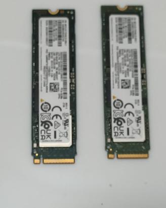 Coppia ssd 1 tb samsung