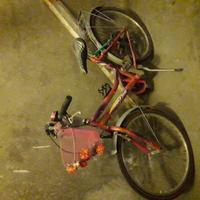 Bici ragazzina 8/13 anni