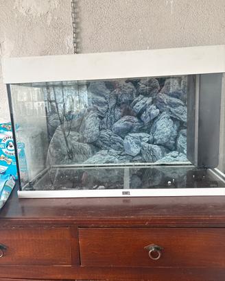 Acquario Juwel