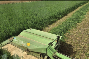 Falciacondizionatrice krone