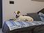 Immagine 5