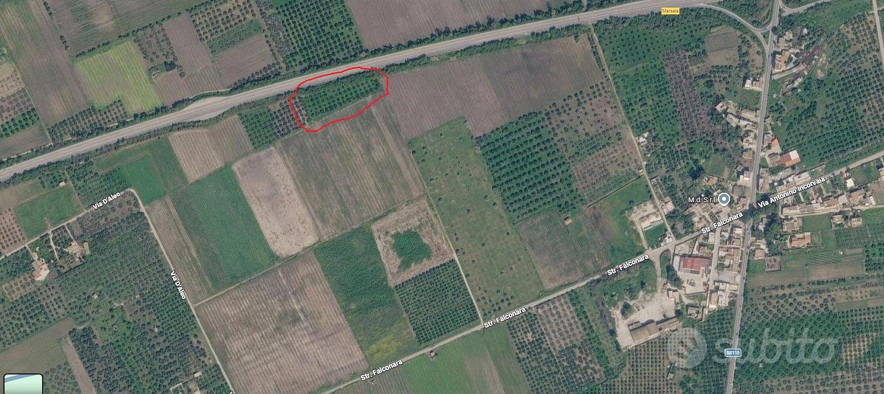 Terreno Uliveto di 3.640 mq zona Fontanasalsa - Altro