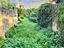 Immagine 29