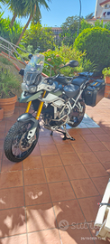 Triumph TIGER 900 Rally Pro