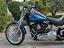 Immagine 15