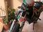Immagine 1