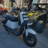 Moto scooter da lavoro elettrico Yadea Y1S