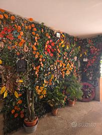 Casa semi-indipendente