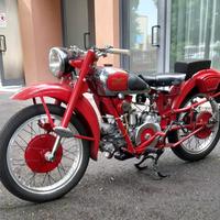 Moto Guzzi Airone Sport 250 - 1951