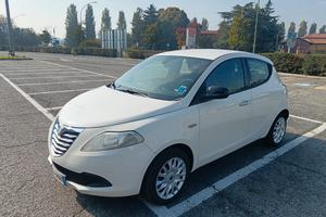 lancia y 