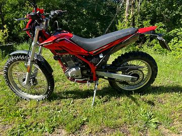 beta alp 200 preparata