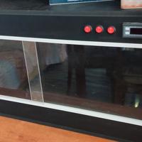 terrario per rettili