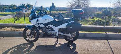 Suzuki Vstrom DL 650 anno 2004