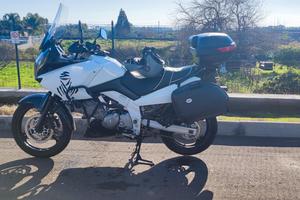 Suzuki Vstrom DL 650 anno 2004