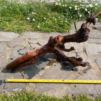 Legno decorativo per acquario