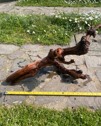 Legno decorativo per acquario