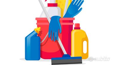Pulizie domestiche e attivita commerciali