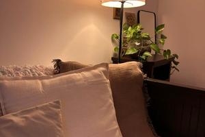 La tua casa nel cuore autentico dell'Abruzzo