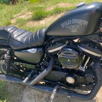 Harley-Davidson Sportster 883 - 2016