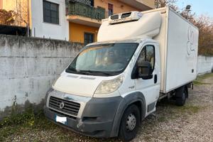 Fiat Professional Ducato Ducato 30 2.3 MJT PM Cab