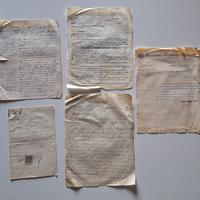 Lotto 5 Documenti Antichi: Commercio e Storia 1891