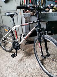 mtb nuova