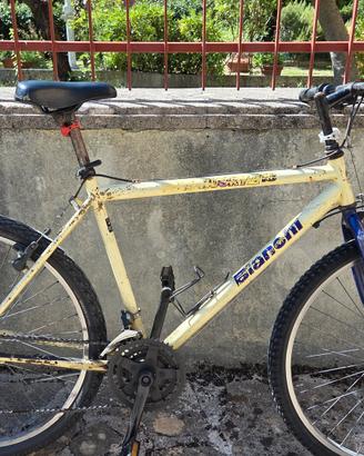 bicicletta mountain bike Bianchi