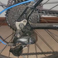 MTB Focus Black Hills