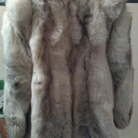 Pelliccia volpe della Groenlandia tg. 44/46