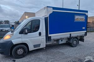 Fiat Ducato Cassonato con centina