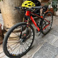 Mtb specialized er 29