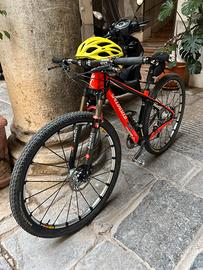 Mtb specialized er 29