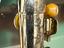 Immagine 5