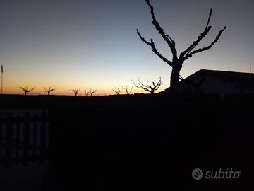 3000 mq di terreno agricolo