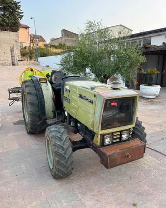 Botte irroratrice da giardino