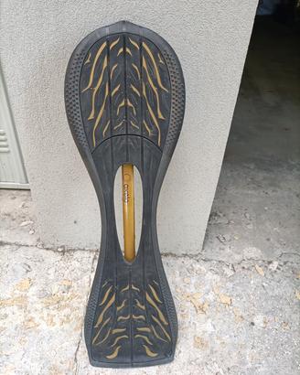 Skateboard due ruote