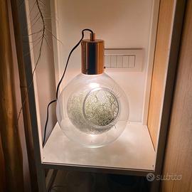 Lampada terrarium L’oca Nera