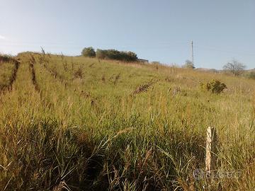 Terreno in Contrada Ferla Monica Mezzojuso