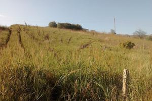 Terreno in Contrada Ferla Monica Mezzojuso