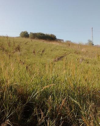 Terreno in Contrada Ferla Monica Mezzojuso