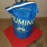 Piumino d'oca singolo