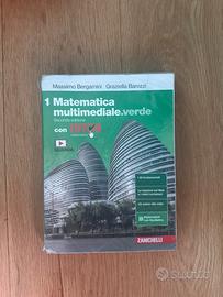 Matematica multimediale verde 1 isbn 9788808353160