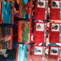 Card lenticolari GliIncredibili