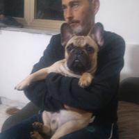 pensione animali casalinga