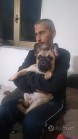 pensione animali casalinga