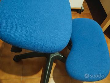 Sedia ergonomica