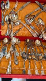 Servizio 12 persone arg.800