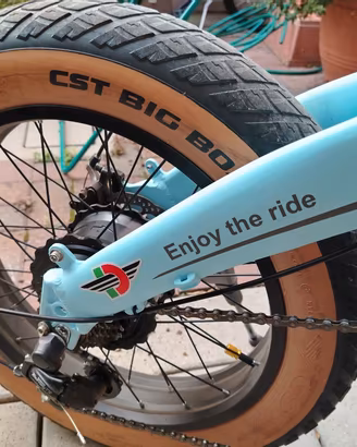 bici elettrica ducati Styles